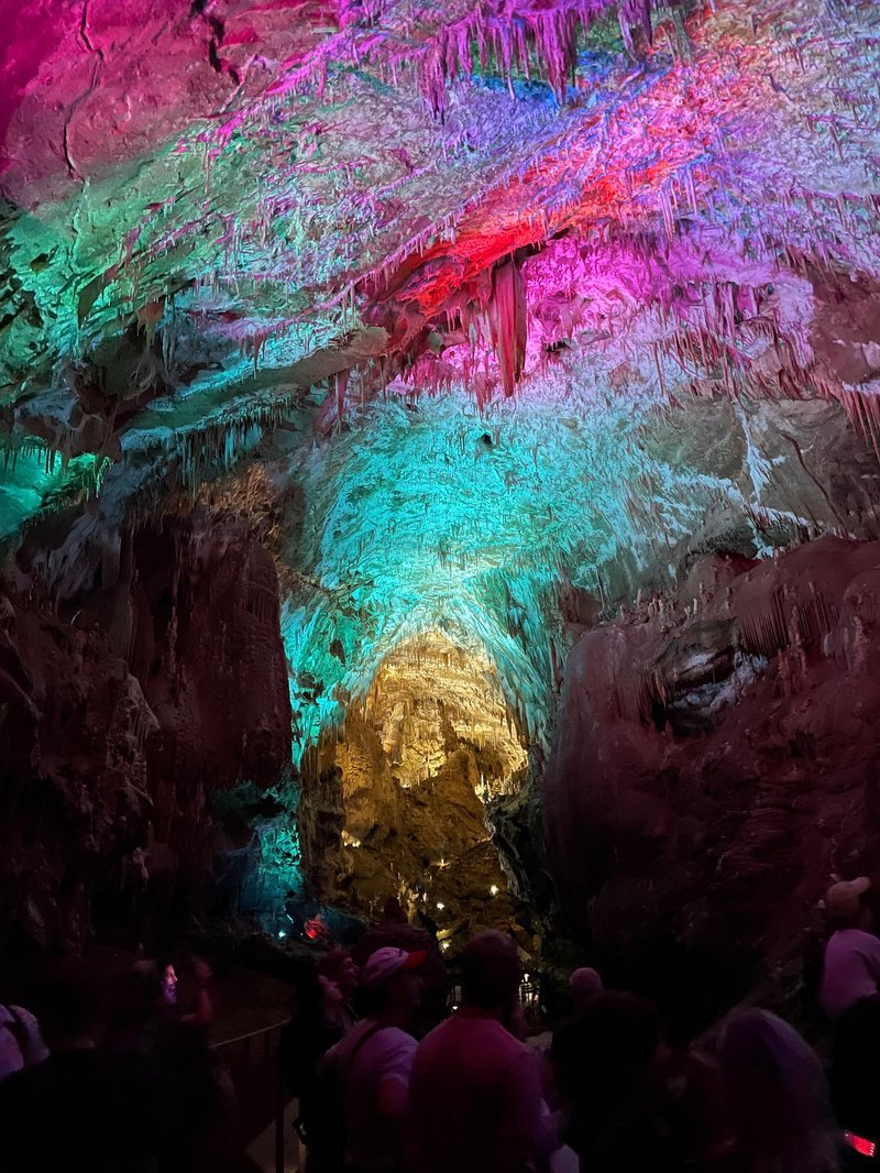 Kroniki Sejneńskie w Gruzji 19