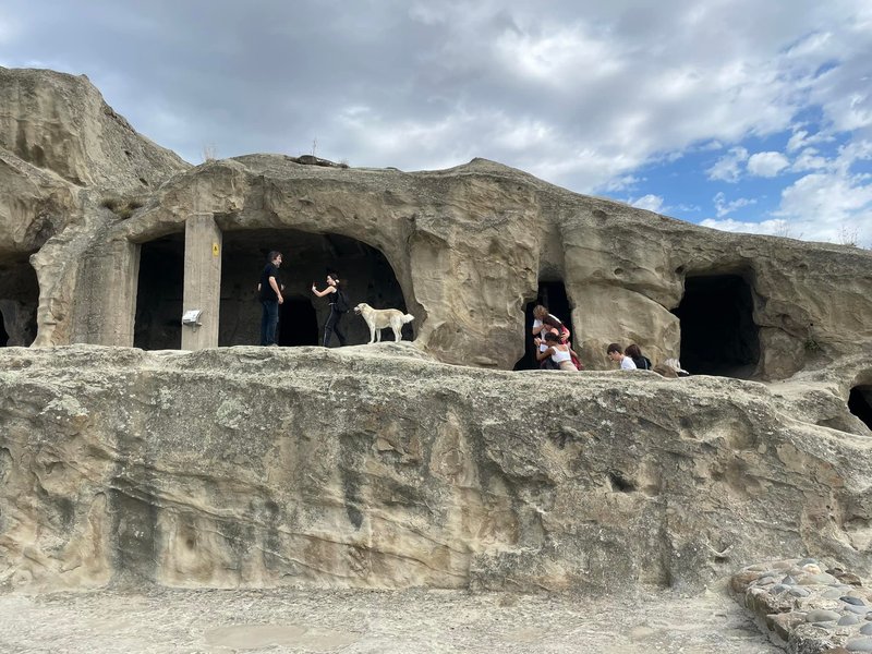 Kroniki Sejneńskie w Gruzji 11