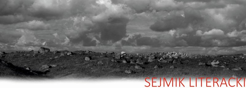 Sejmik Literacki 2017