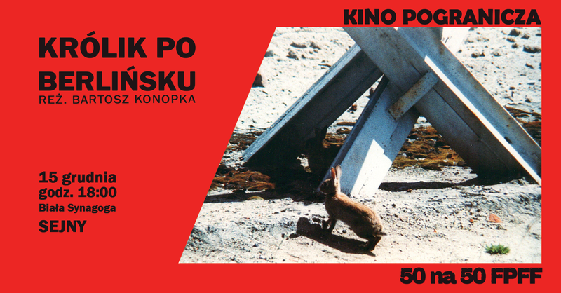 kino pogranicza królik po berlińsku